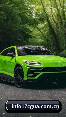 专业防雷排片服务, 专治各种无脑控评