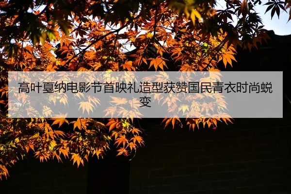 gao-ye-jia-na-dian-ying-jie-shou-ying-li-zao-xing-huo-zan-guo-min-qing-yi-shi-shang-tui-bian-2-219.jpg