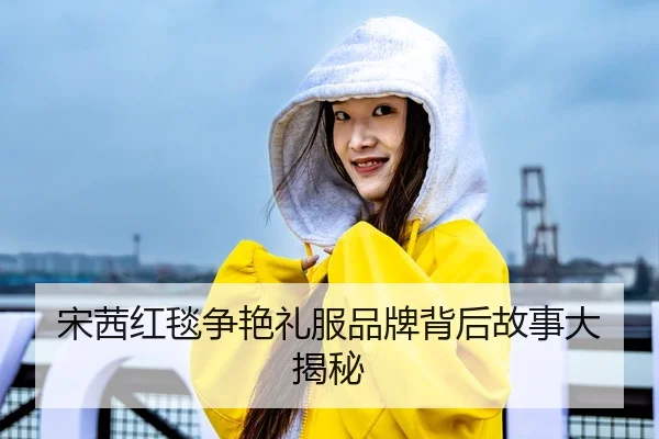 song-qian-hong-tan-zheng-yan-li-fu-pin-pai-bei-hou-gu-shi-da-jie-mi-1-322.jpg